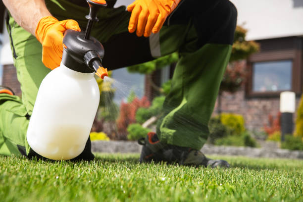 Best Pest Control Near Me in Wayne, WV