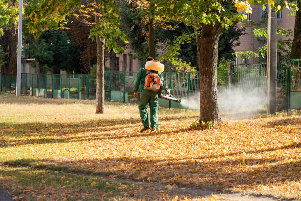 Best Termite Control Services  in Wayne, WV