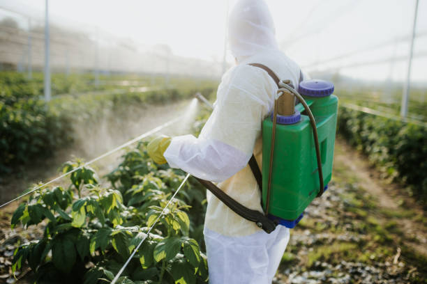 Best Best Pest Control Companies  in Wayne, WV
